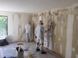  Lacoochee, FL Mold Prevention & Removal Pros